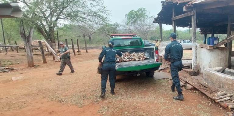 Polícia Militar Ambiental de Corumbá Apreende Madeira e Carvão em Assentamento