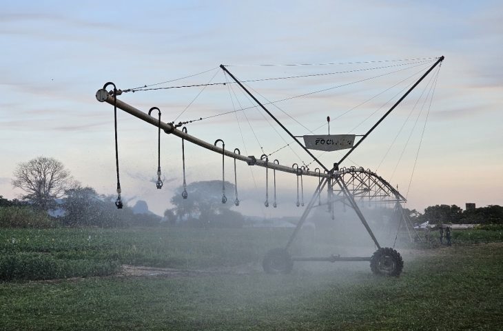 Primeiro polo de agricultura irrigada de MS abrange 26 municípios nas regiões Centro e Sul