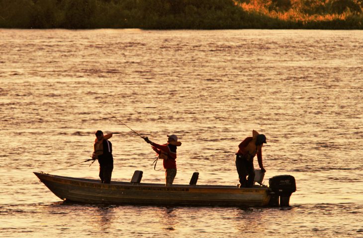 Última semana: pesca fica proibida a partir de novembro com o início do período de defeso