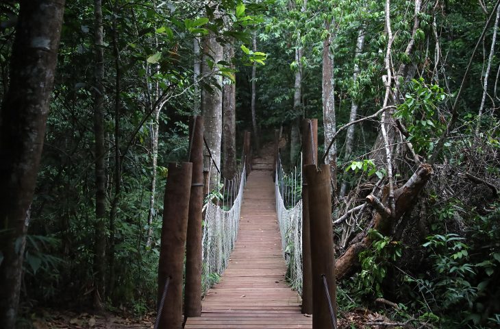 Com deck, mirante e ponte suspensa, cenário da Corrida da PMA é aberto para população