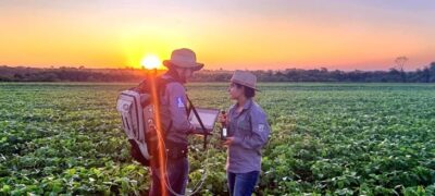 Sustentabilidade: florestas plantadas em MS contribuem para a meta de carbono neutro