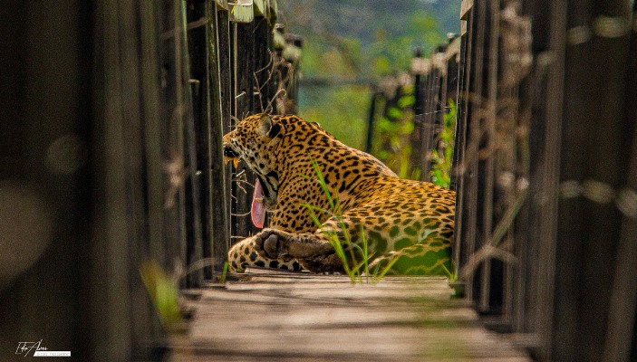 Fazenda San Francisco realiza evento em Bonito e lança novo pacote de aventuras