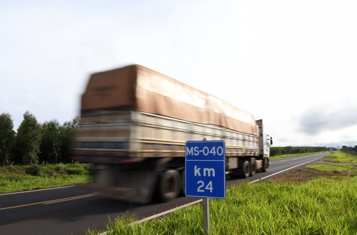 Desenvolvimento e oportunidade: Governo de MS publica novo edital da ‘Rota da Celulose’