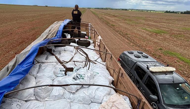 DOF apreende caminhão com 8 toneladas de defensivos agrícolas contrabandeados