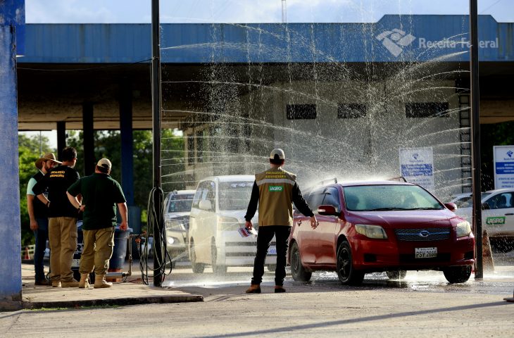 Governo de MS e Codesul discutem articulação conjunta para prevenção da gripe aviária