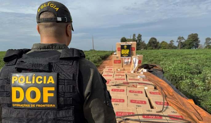 Carga milionária de cigarros contrabandeados é apreendida pelo DOF em Mundo Novo