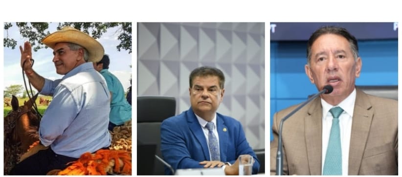 Eleições 2026: Reinaldo lidera, Nelsinho e Gerson tem disputa acirrada pela segunda vaga ao senado