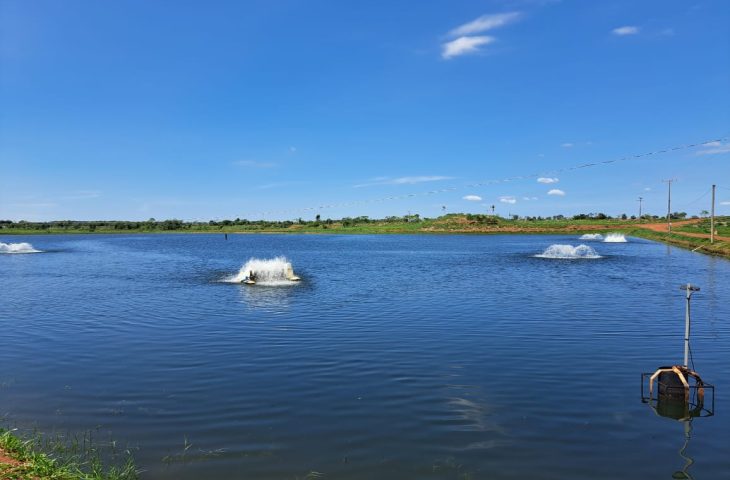 Piscicultura ganha novo fôlego em MS com ações do Estado e deve produzir 50 mil toneladas neste ano