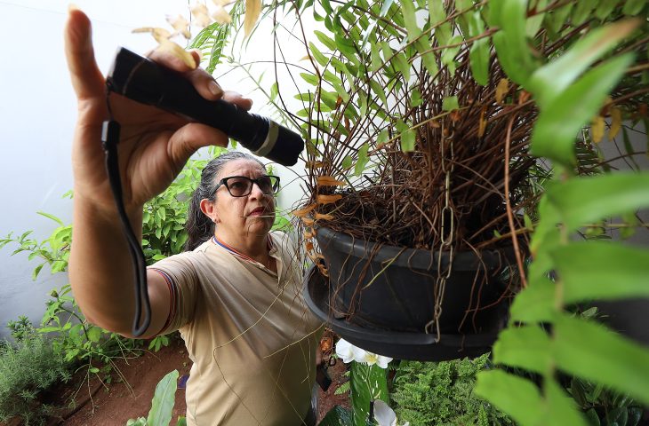 Boletim Epidemiológico: MS registra 8.461 casos confirmados de dengue