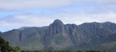 Para preservar o Pantanal, PSA Brigadas destinou mais de R$ 6,1 milhões para diferentes projetos sustentáveis