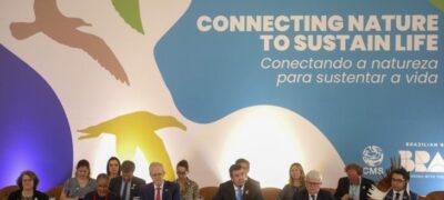 Com atuação para o desenvolvimento e conservação ambiental, MS sedia encontro de líderes globais que antecede COP15