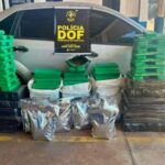 DOF apreende quase 300 quilos de drogas que seguiam para Minas Gerais