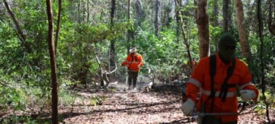 Brigadas e uso de tecnologia são protagonistas na prevenção de incêndios no Pantanal