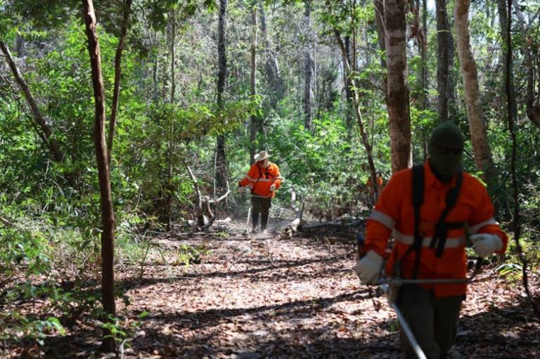 Brigadas e uso de tecnologia são protagonistas na prevenção de incêndios no Pantanal