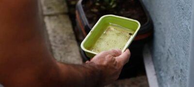 Estado articula para trazer vacina da chikungunya para MS e garante inclusão em estratégia piloto nacional