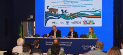 Dia do Pantanal: financiamento de políticas ambientais é tema em debate no segundo dia da COP15