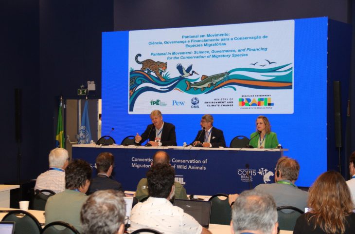 Dia do Pantanal: financiamento de políticas ambientais é tema em debate no segundo dia da COP15