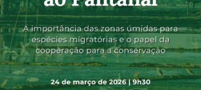Pantanal, espécies migratórias e cooperação internacional: Ecoa participa de debate na COP15