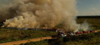 Para conservar e proteger biomas, Governo de MS realiza técnica de queima prescrita em parque estadual