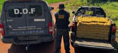 DOF apreende quase uma tonelada de maconha em Guia Lopes da Laguna