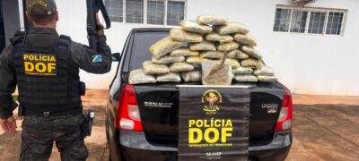 DOF prende homem com skunk escondido em compartimento oculto de veículo em Santa Rita do Pardo