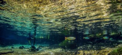 Inspira Ecoturismo aborda sustentabilidade, segurança e oportunidades para o segmento