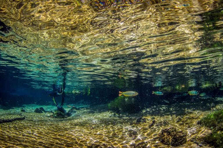 Inspira Ecoturismo aborda sustentabilidade, segurança e oportunidades para o segmento