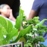 Filhos de vítimas de feminicídio em Mato Grosso do Sul recebem benefícios sociais