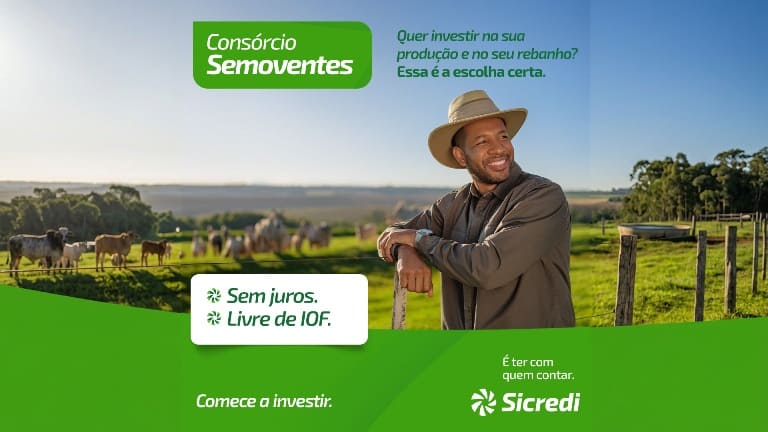 Sicredi Centro-Sul MS/BA intensifica consórcio de semoventes para o segmento agropecuário