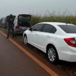 DOF desarticula comboio com cinco carros e apreende mais de 400 quilos de drogas