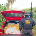 DOF apreende mais de 600 quilos de drogas após condutor abandonar veículo em Maracaju