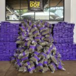 DOF recupera picape furtada e carregada com quase 700 quilos de drogas