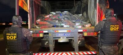 DOF apreende mais de 2 toneladas de maconha escondidas em carga de milho
