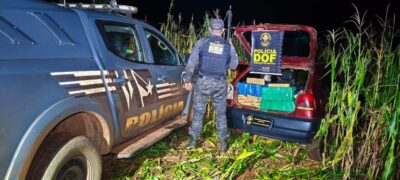 DOF apreende veículo com quase 400 quilos de maconha em milharal