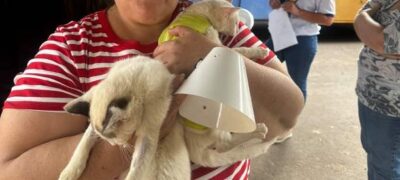 Caravana da Castração realiza mais de 200 procedimentos e promove saúde e bem-estar animal em Caracol