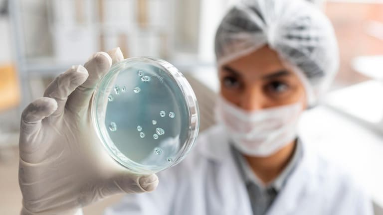 Humap-UFMS alerta para riscos da Salmonella e reforça cuidados na manipulação de alimentos