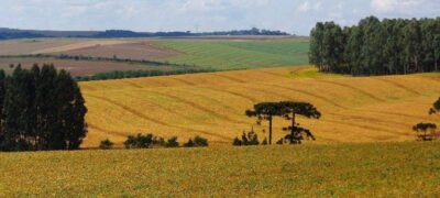 Super El Niño exigirá aceleração da agenda de adaptação no campo, alerta Coalizão Brasil