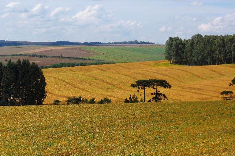 Super El Niño exigirá aceleração da agenda de adaptação no campo, alerta Coalizão Brasil