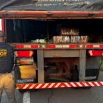 DOF apreende mais de 3,5 toneladas de drogas em carreta e prende dupla em São Paulo