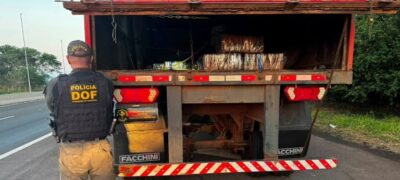 DOF apreende mais de 3,5 toneladas de drogas em carreta e prende dupla em São Paulo