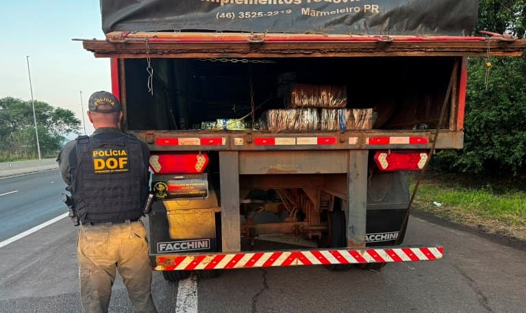 DOF apreende mais de 3,5 toneladas de drogas em carreta e prende dupla em São Paulo