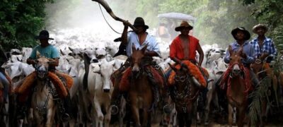 Peão de comitiva no Pantanal ganha direito à aposentadoria rural na Justiça