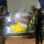 Operação Jaguaretê-Oeste soma R$ 42 milhões em drogas, armas e cigarros apreendidos