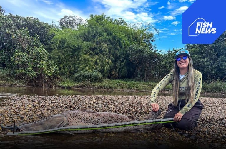 Quebra de Recorde: Pescadora captura pintado de 153 cm no Mato Grosso do Sul