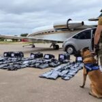 Secretaria Antidrogas apreende 1,2 tonelada de “maconha premium”