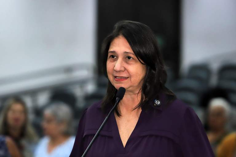 Requerimento para criação da CPI do Tapa-Buraco chega a nove assinaturas e vereadora Luiza busca décima adesão