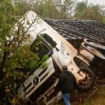 Caminhão carregado de bois tomba na MS-384 entre Bela Vista e Caracol