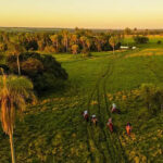 Fazenda de Jardim é eleita a mais sustentável do Brasil entre médias propriedades
