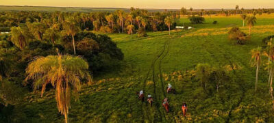Fazenda de Jardim é eleita a mais sustentável do Brasil entre médias propriedades
