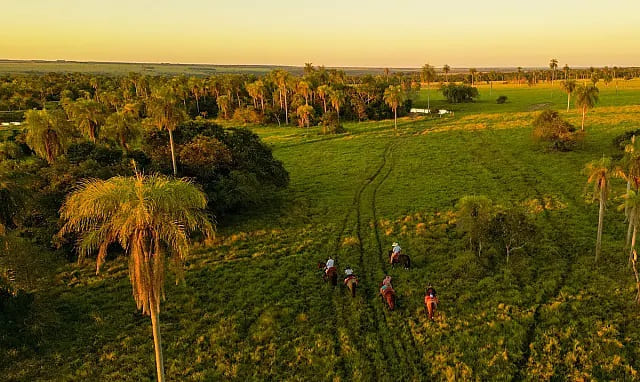 Fazenda de Jardim é eleita a mais sustentável do Brasil entre médias propriedades